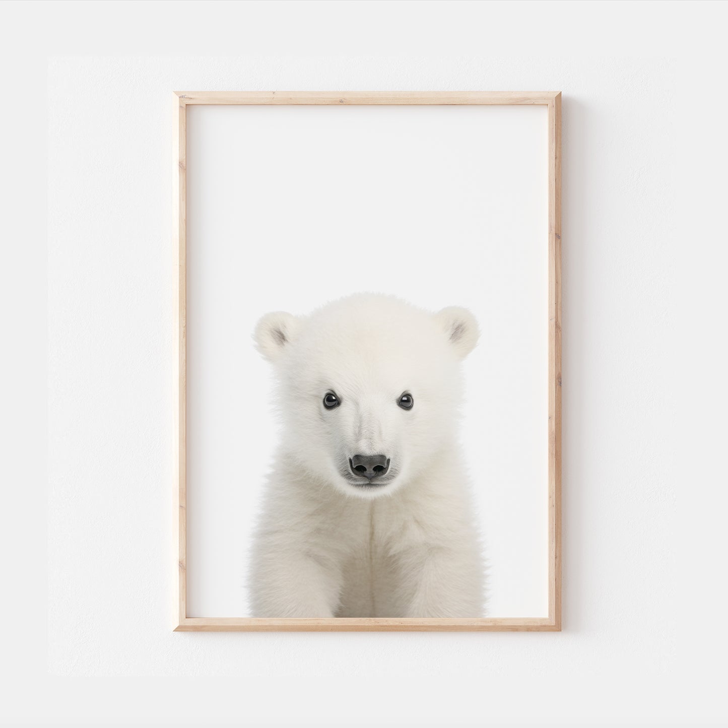 Baby Polar Bear
