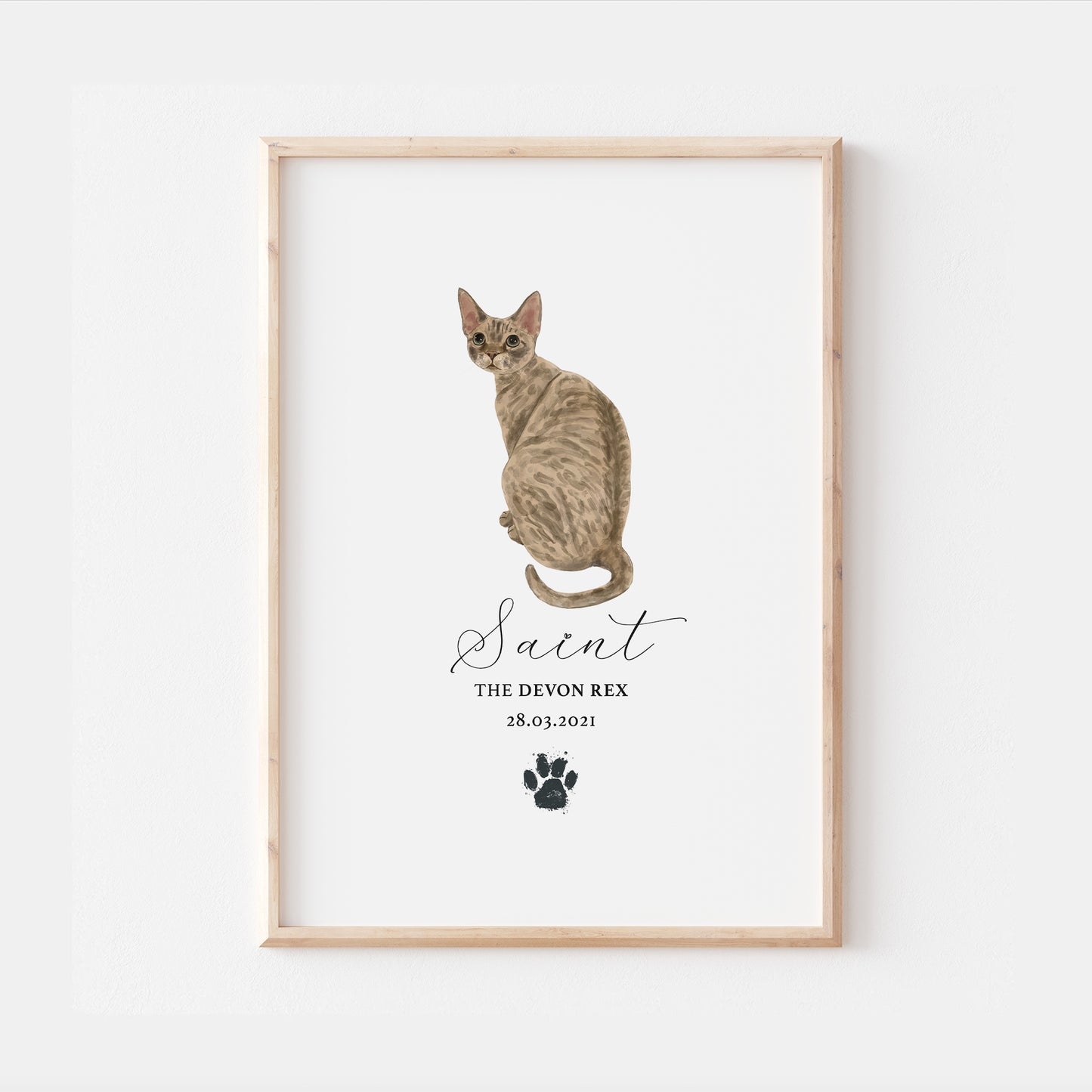 Personalised Brown Devon Rex Cat Breed Watercolour Print