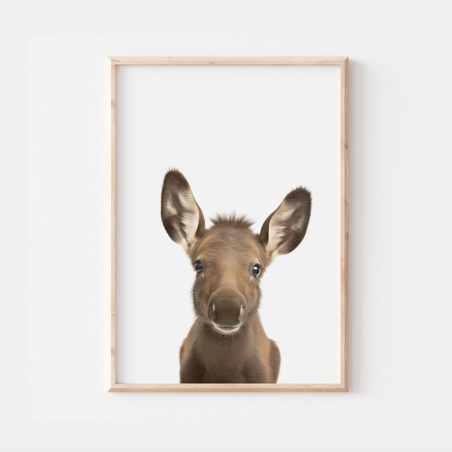 Baby Moose