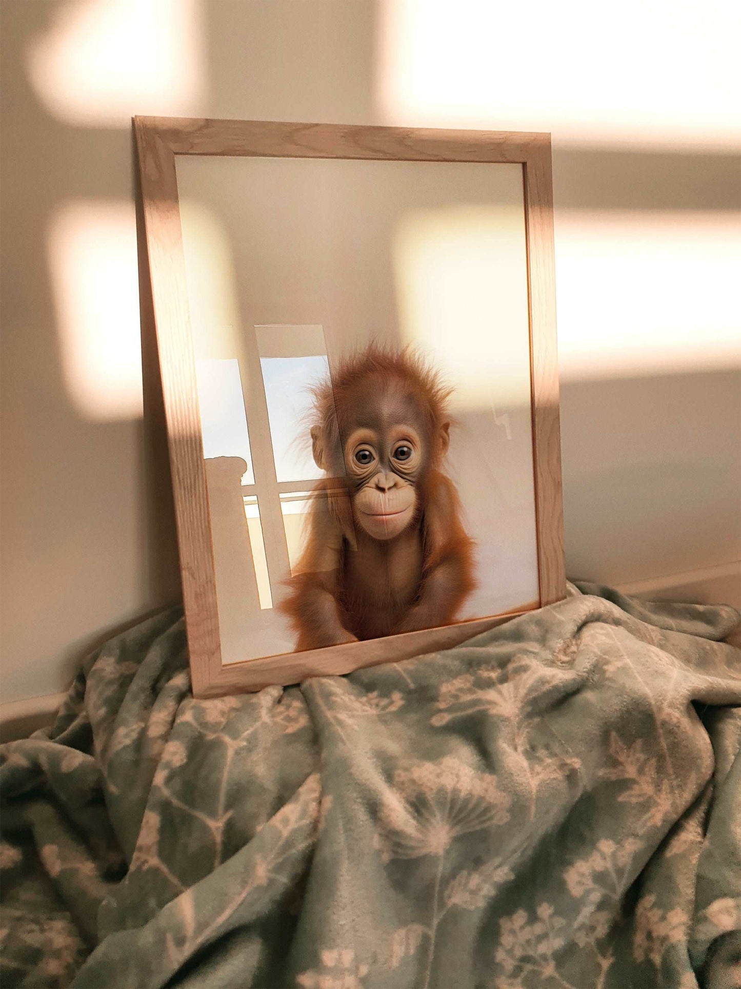 Baby Orangutan