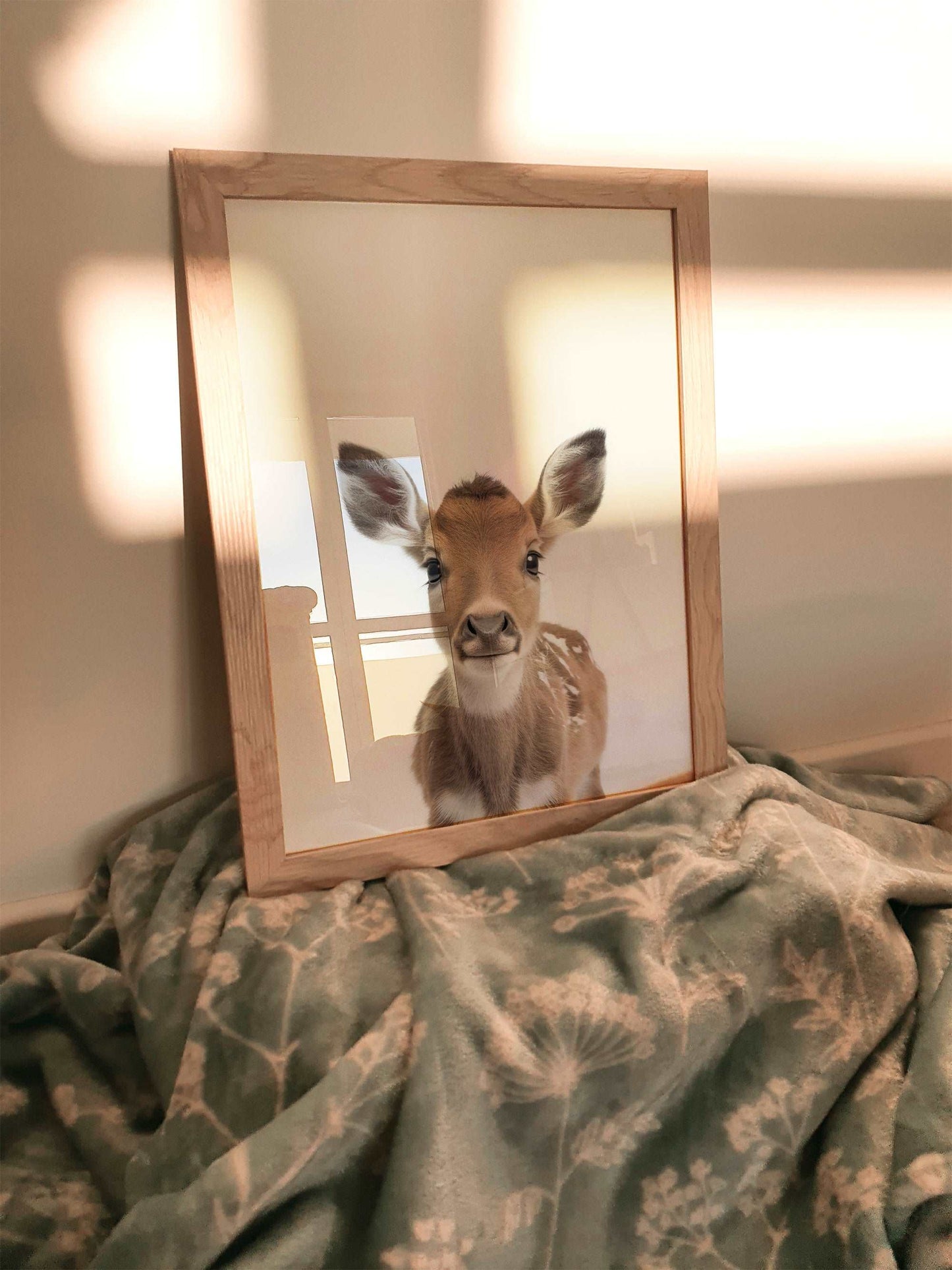 Baby Reindeer