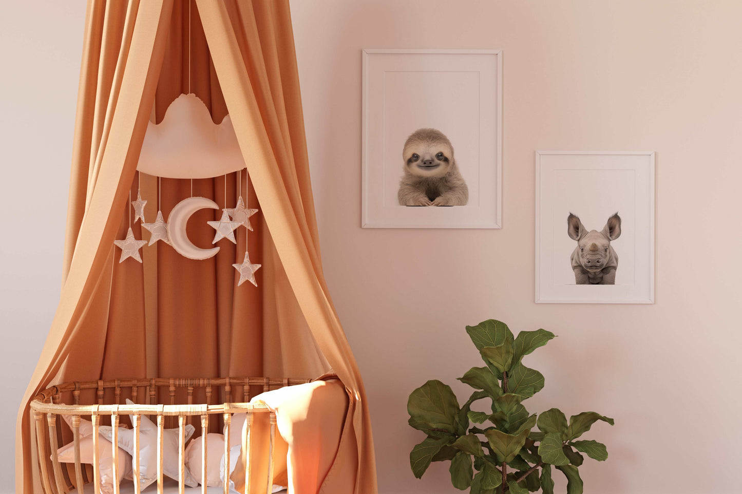 Baby Sloth