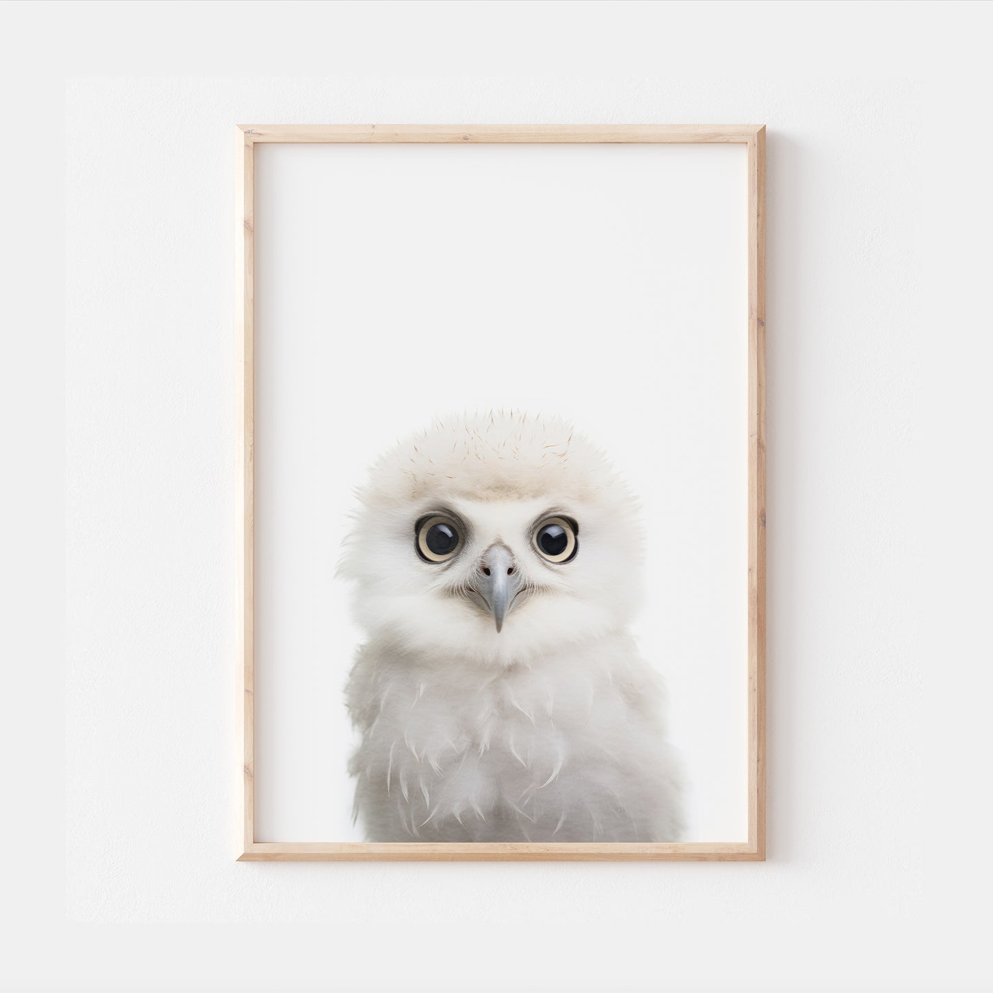 Baby Snow Owl
