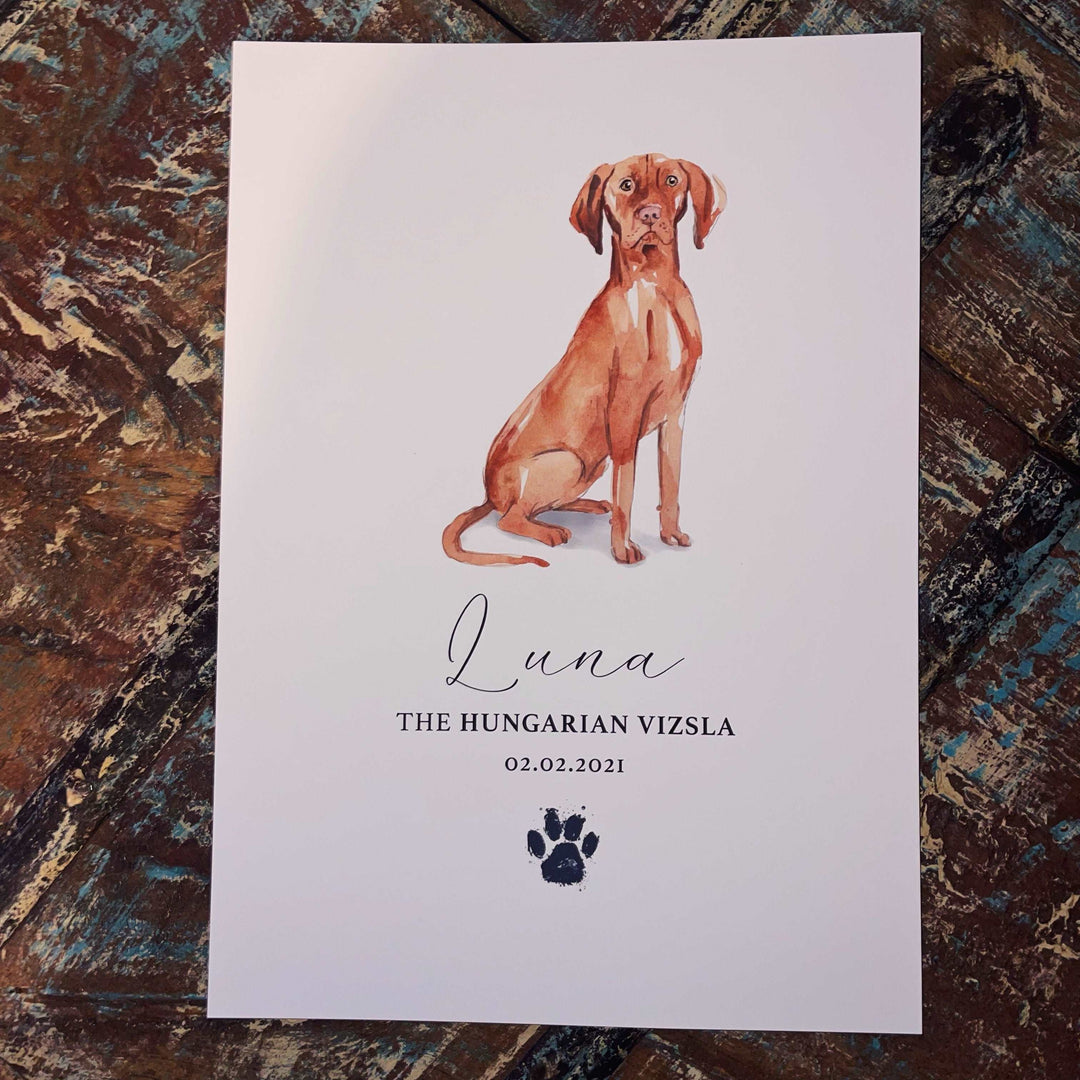 Personalised Hungarian Vizsla Dog Watercolour Print