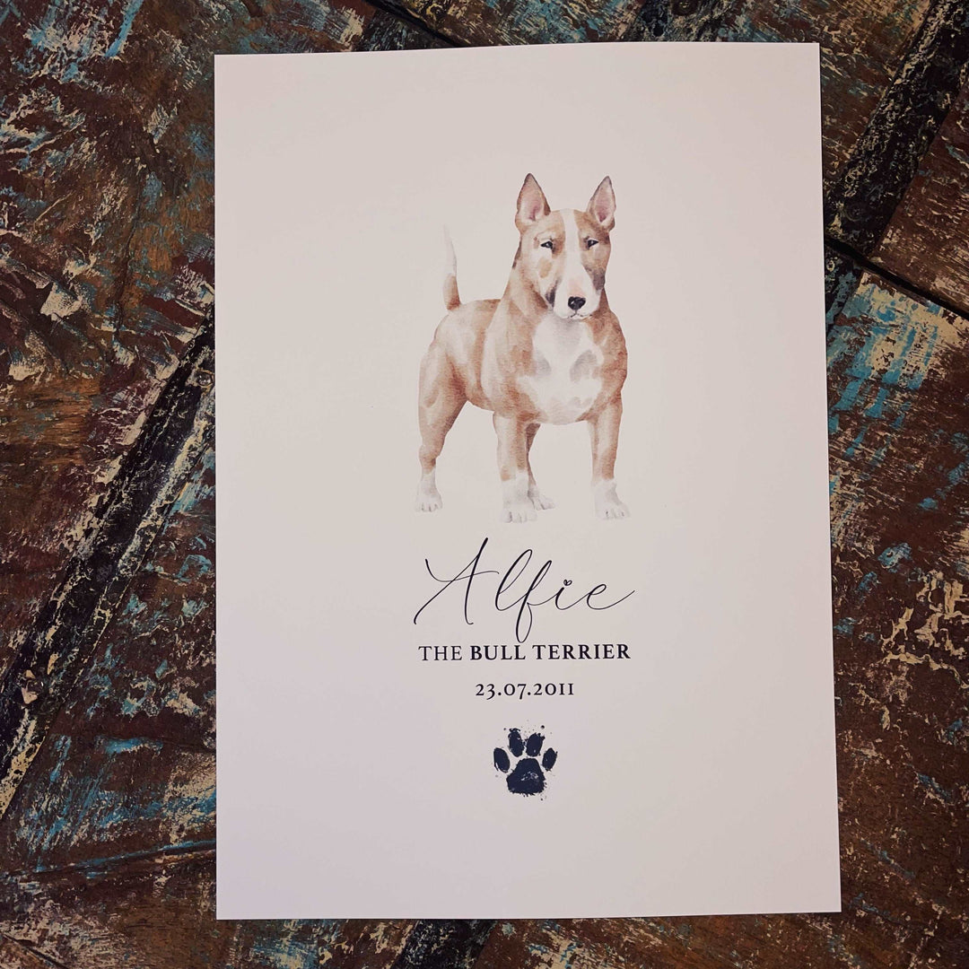 Personalised Bull Terrier Dog Watercolour Print