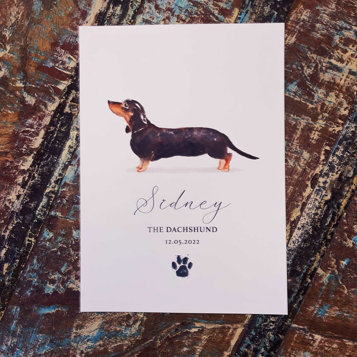 Personalised Black Tan Dachshund Dog Watercolour Print