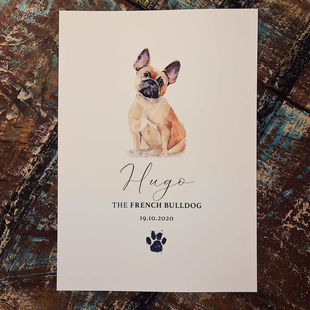 Personalised Tan French Bulldog Watercolour Print