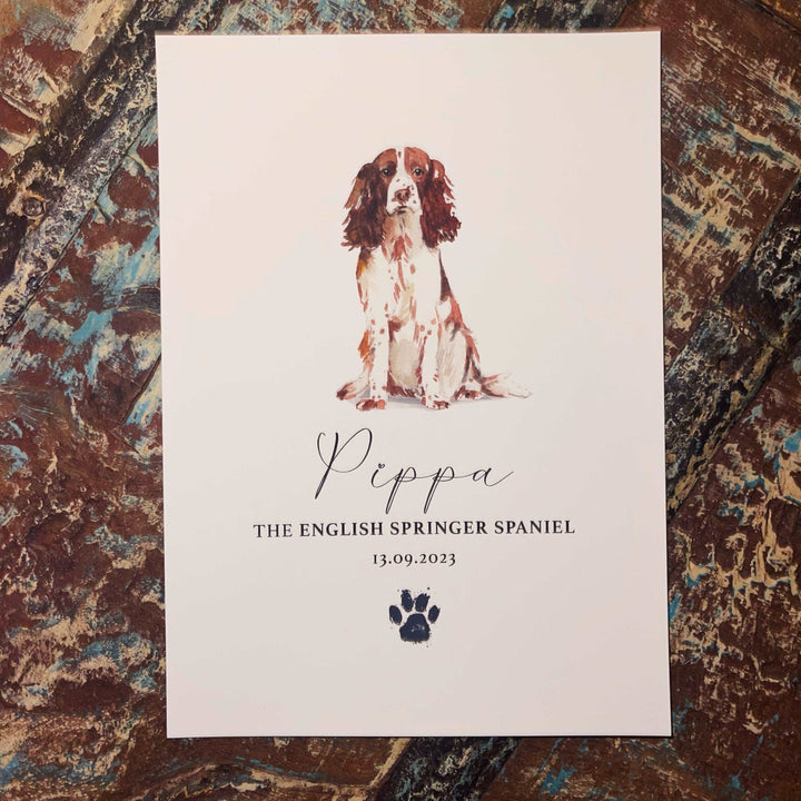 Personalised English Springer Spaniel Dog Watercolour Print