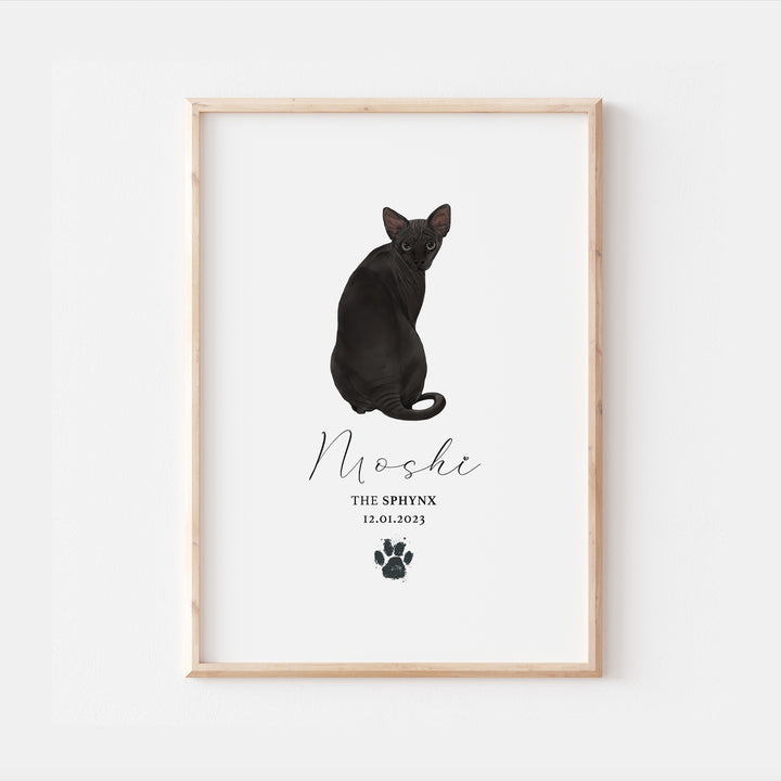 Personalised Black Sphynx Cat Breed Watercolour Print