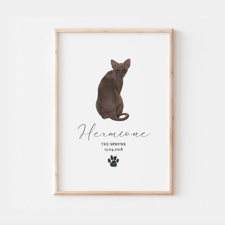 Personalised Brown Sphynx Cat Breed Watercolour Print