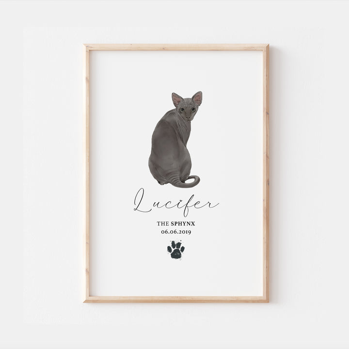 Personalised Grey Sphynx Cat Breed Watercolour Print