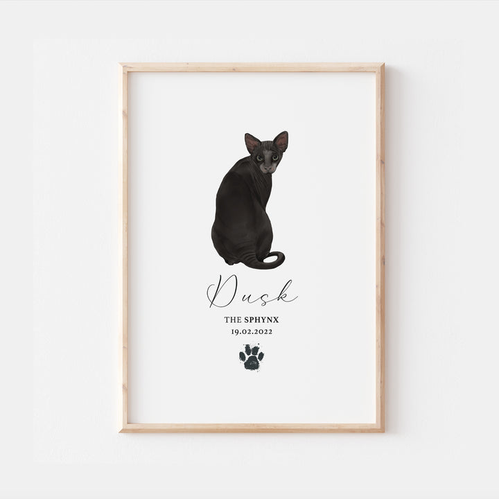 Personalised Black Pointed Sphynx Cat Breed Watercolour Print