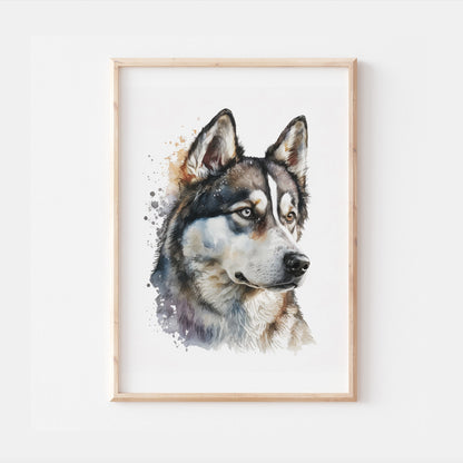 Siberian Husky Dog Watercolour Art Print