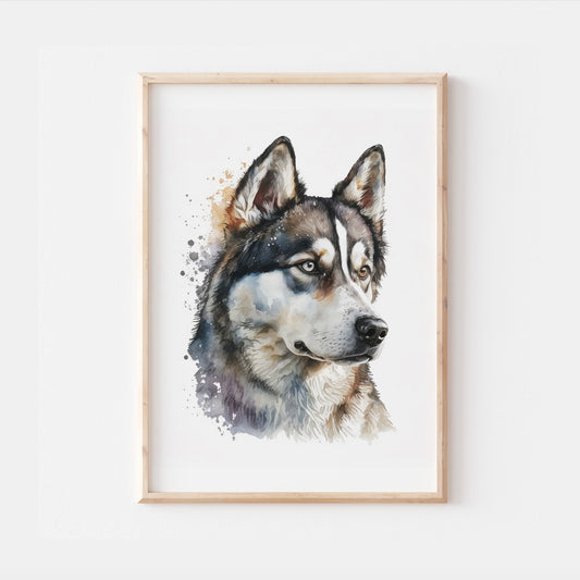 Siberian Husky Dog Watercolour Art Print