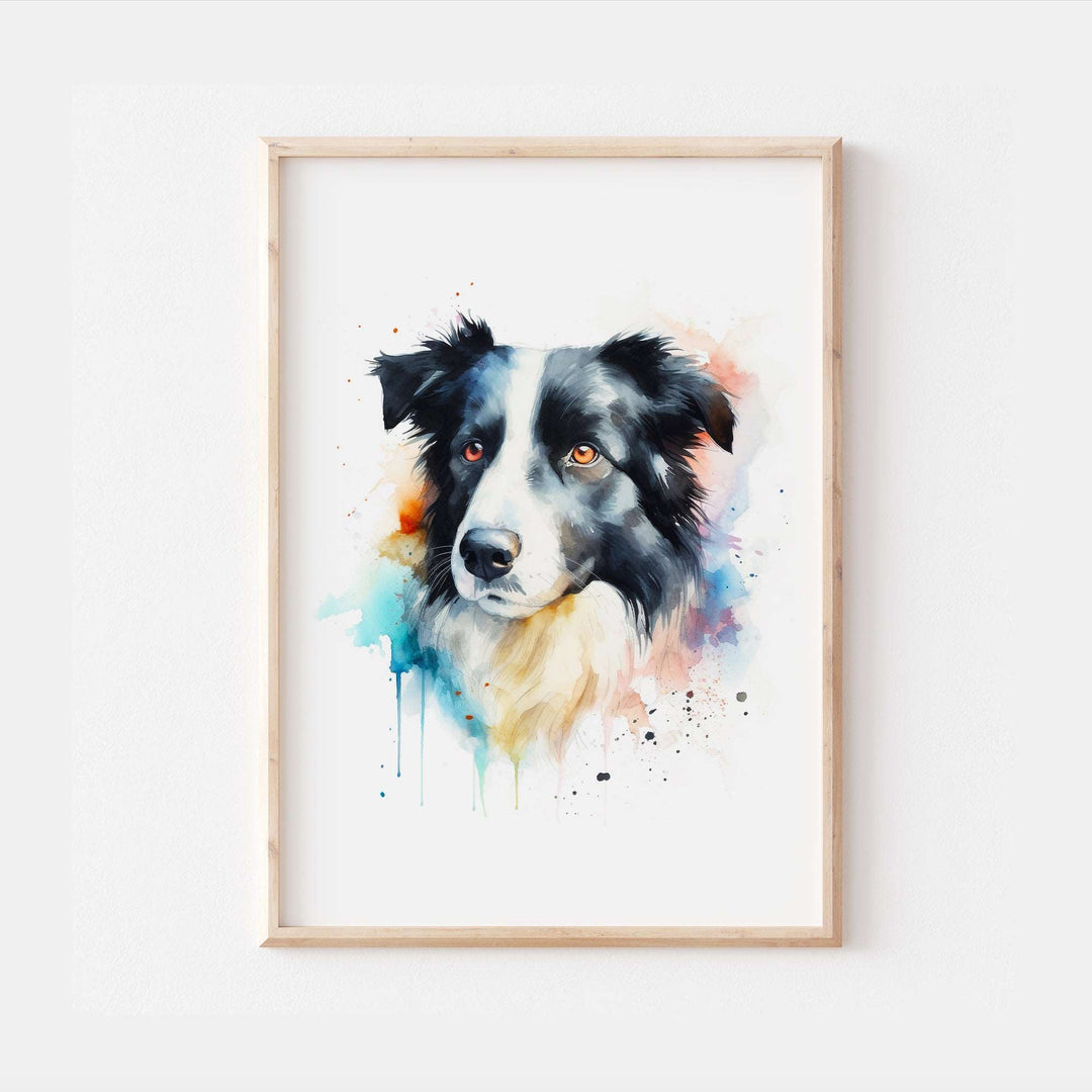 Border Collie Dog Watercolour Art Print