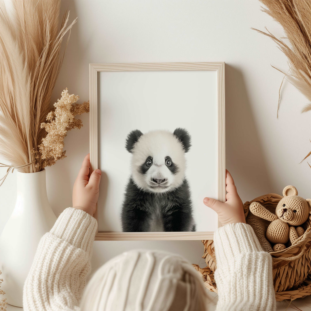 Baby Panda