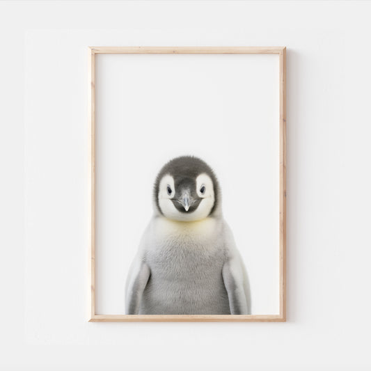 Baby Penguin
