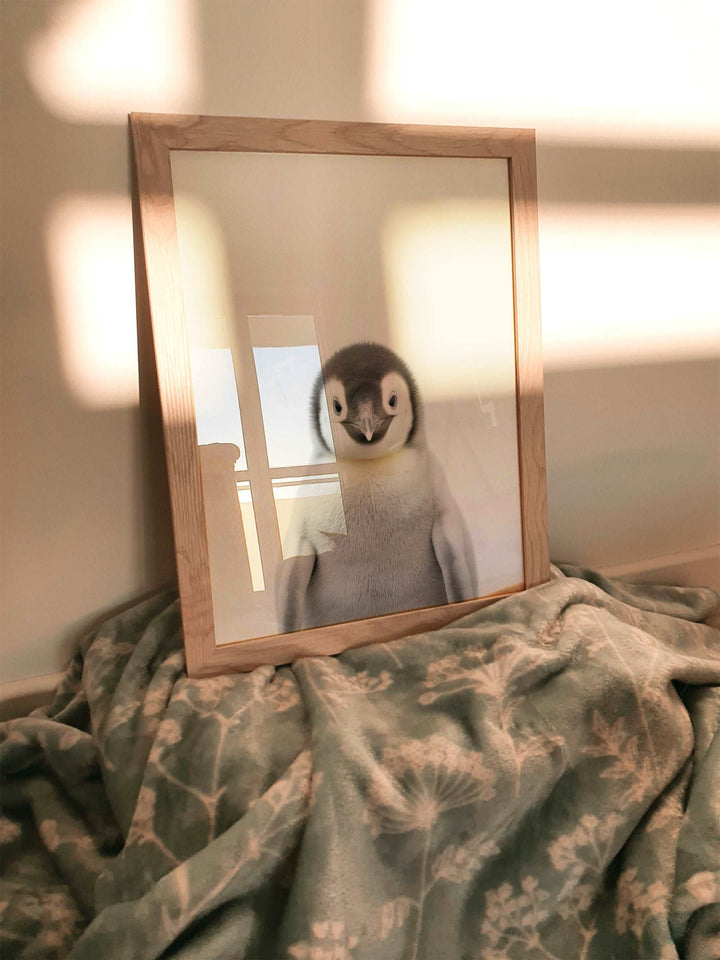 Baby Penguin