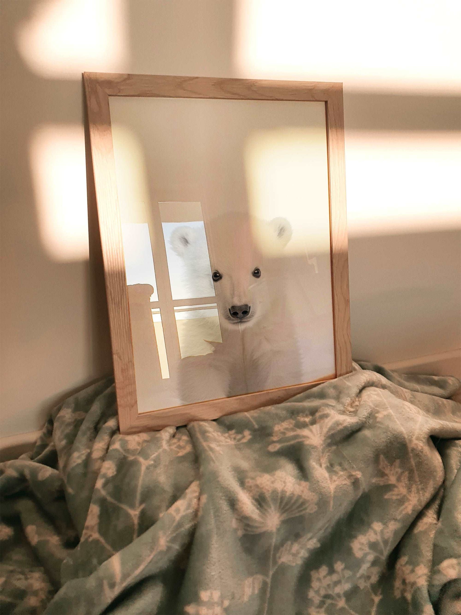 Baby Polar Bear