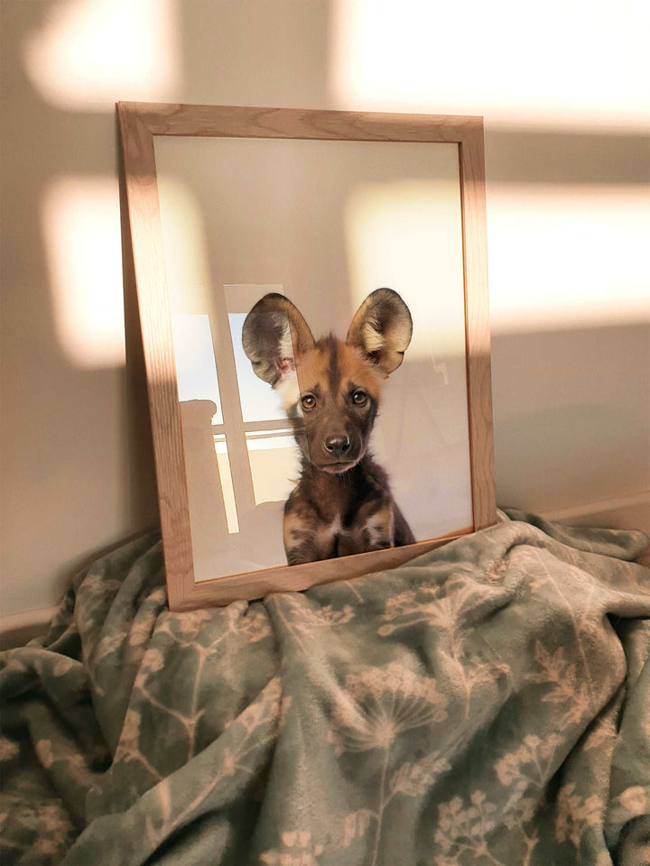 Baby African Dog