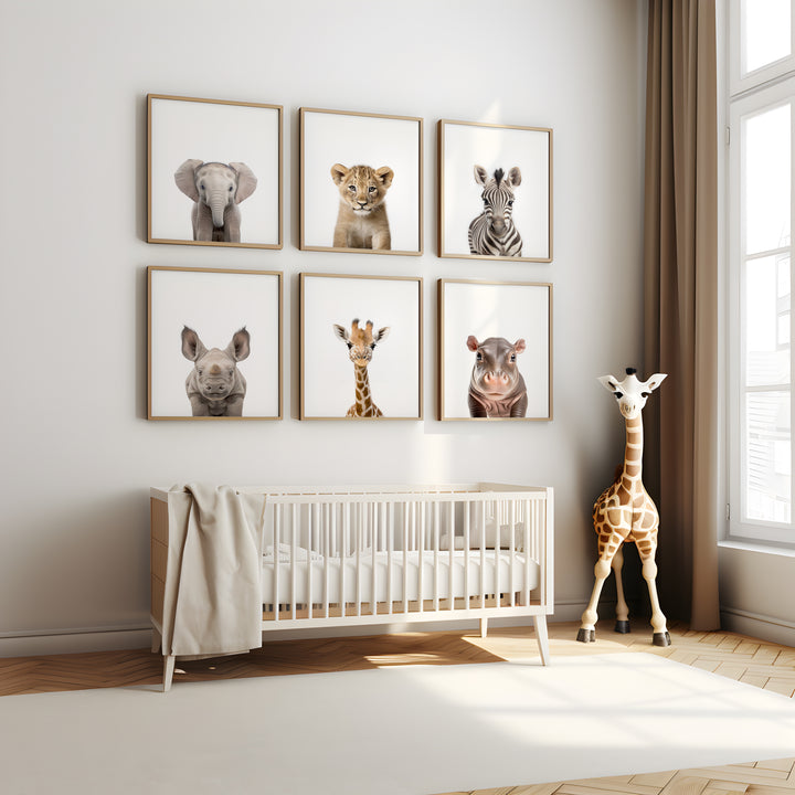 SET OF 6 Baby Animal Safari Print Bundle