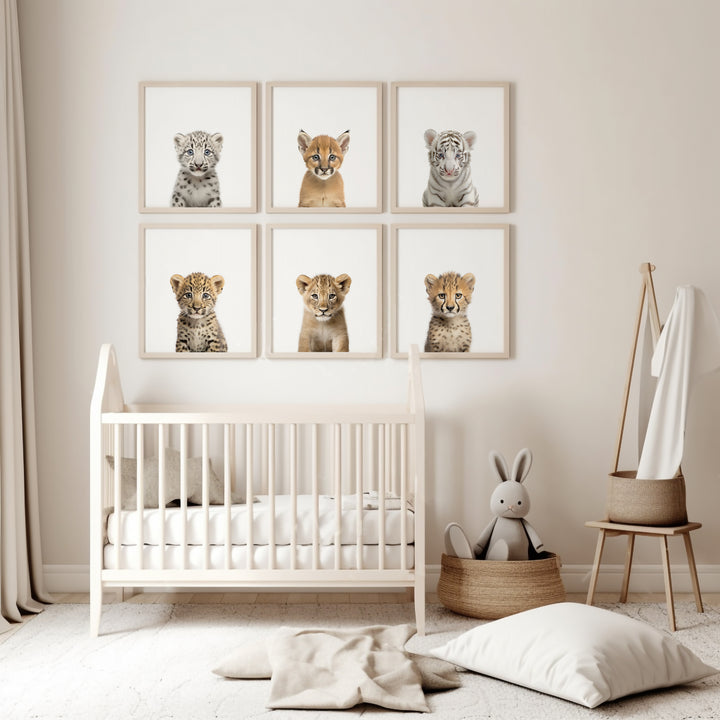 SET OF 6 Baby Big Cats Animal Print Bundle