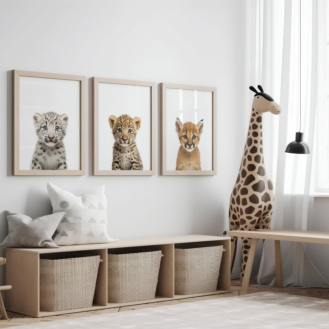 SET OF 6 Baby Big Cats Animal Print Bundle