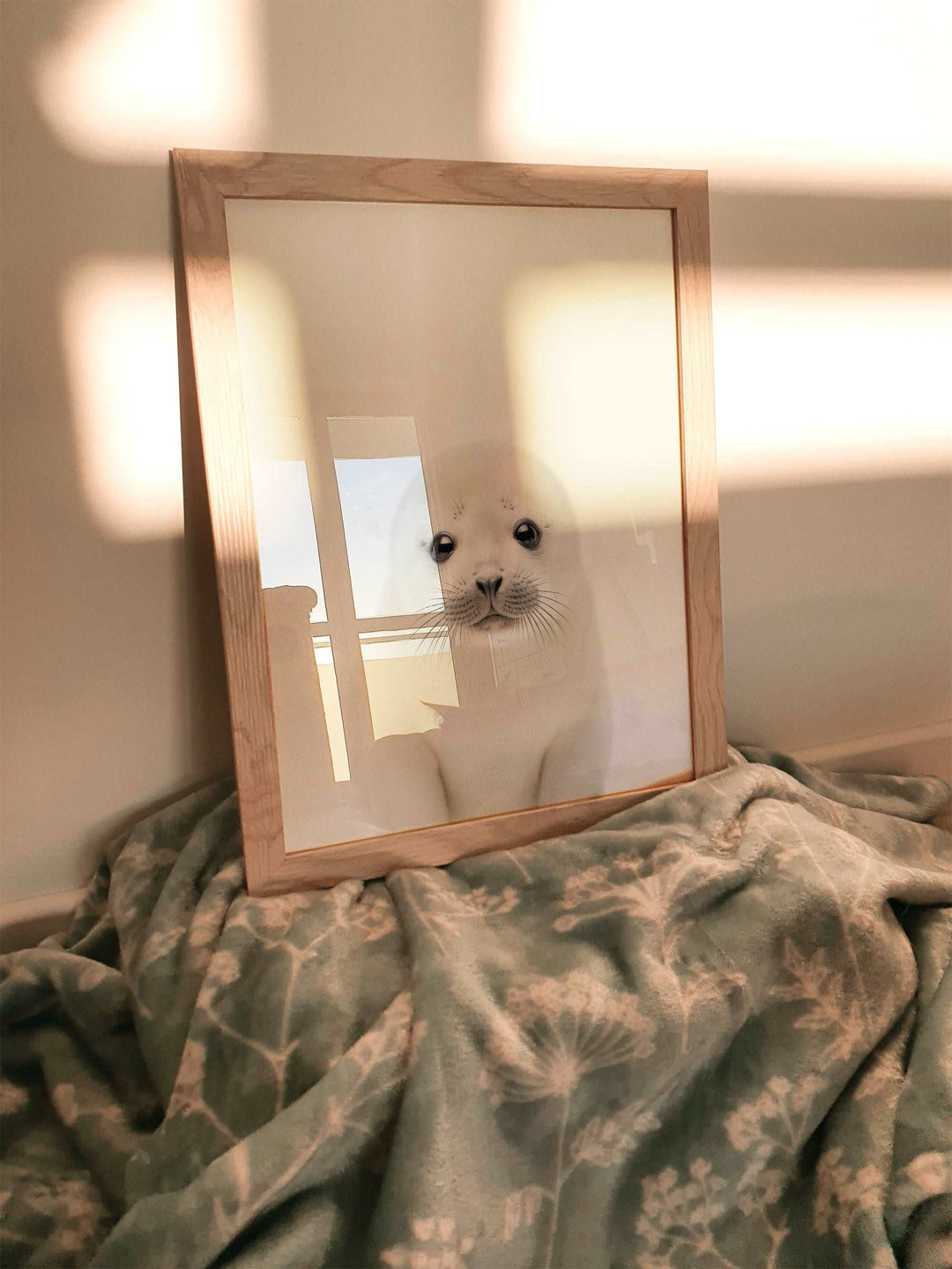 Baby Arctic Seal