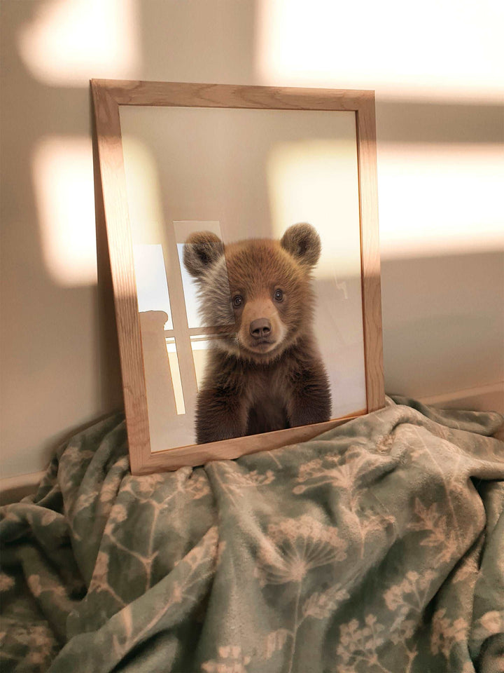 Baby Brown Bear