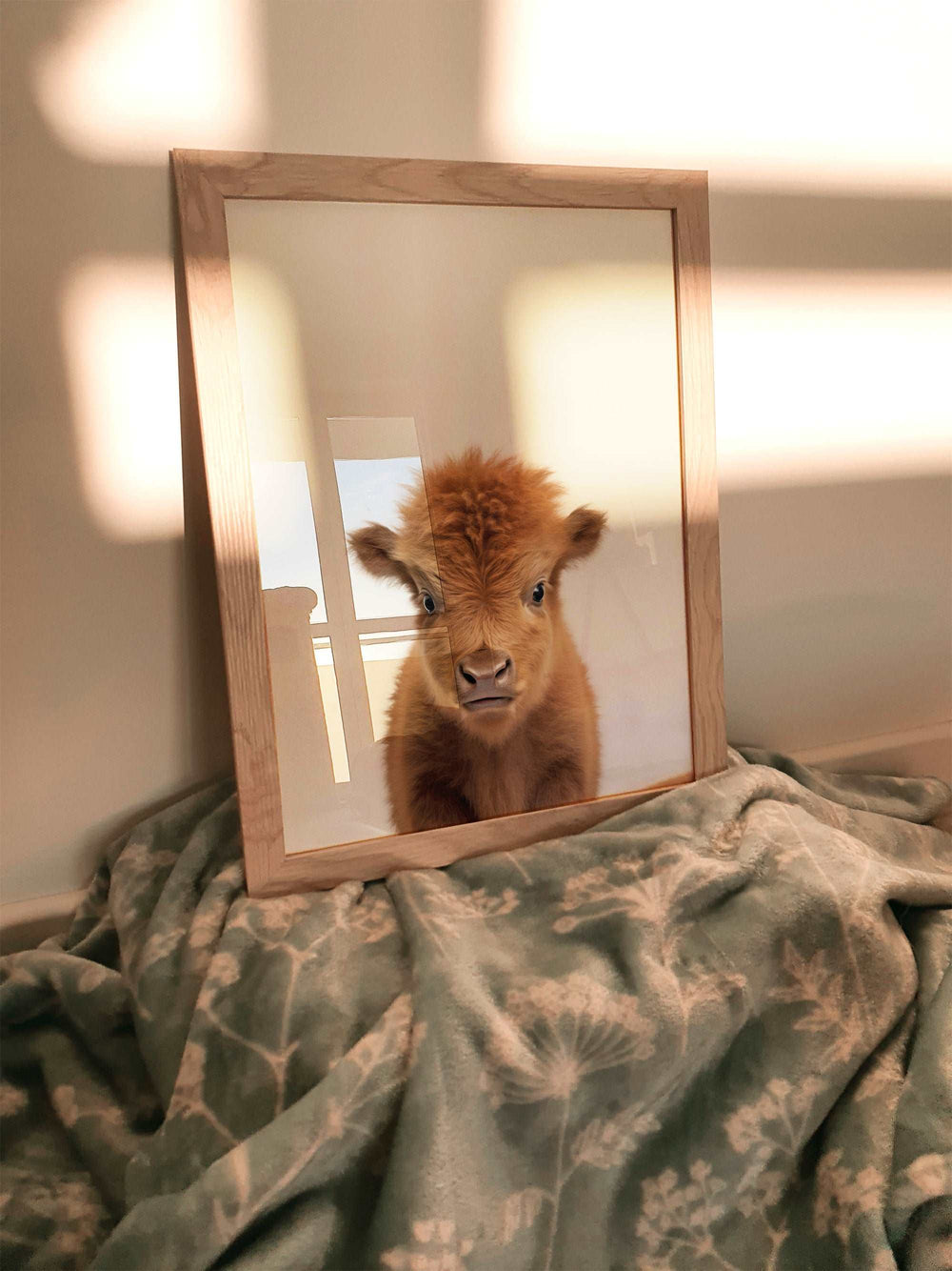 Baby Bison