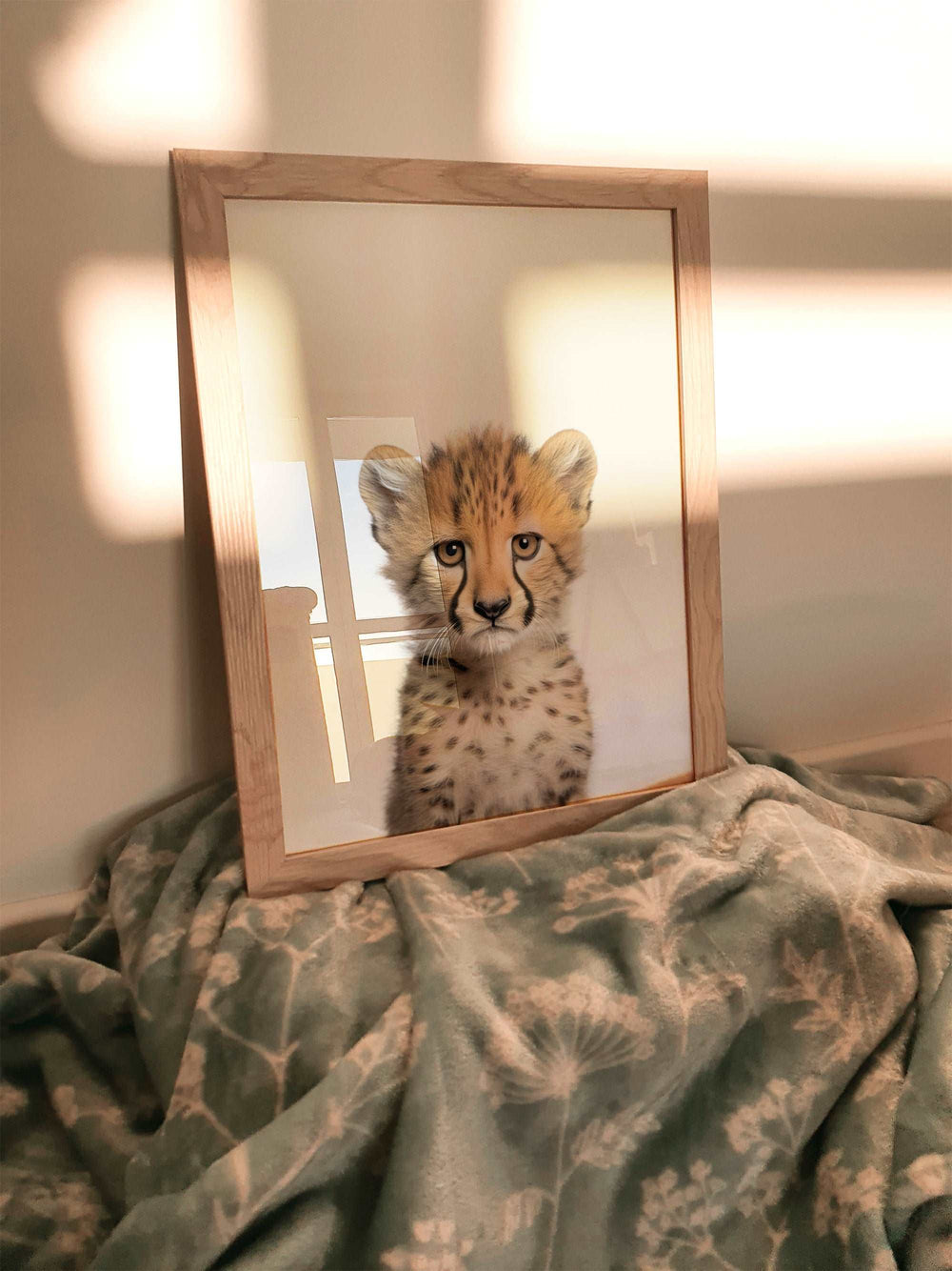 Baby Cheetah