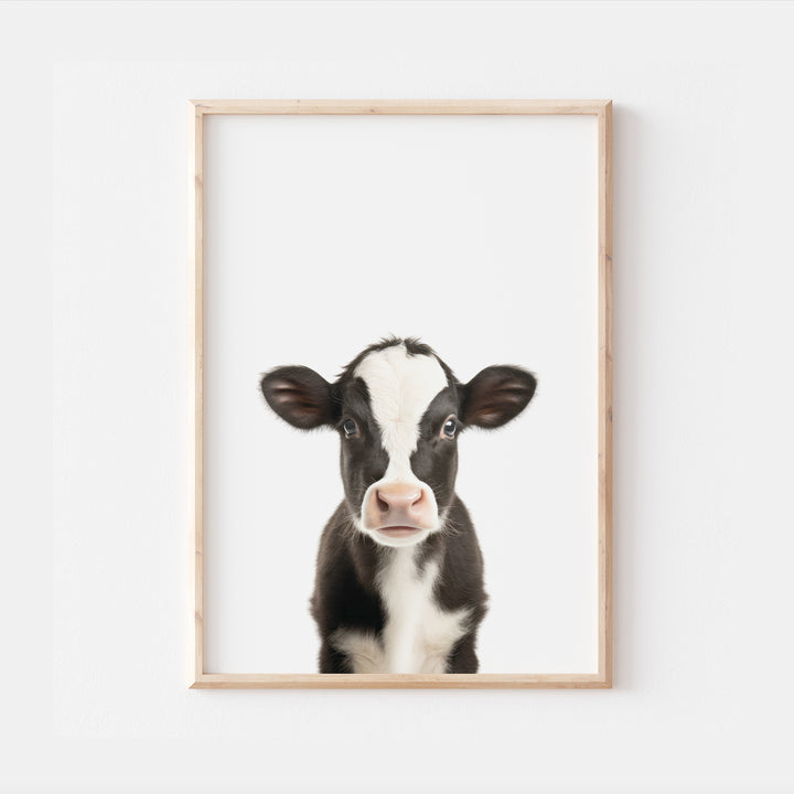 Baby Cow