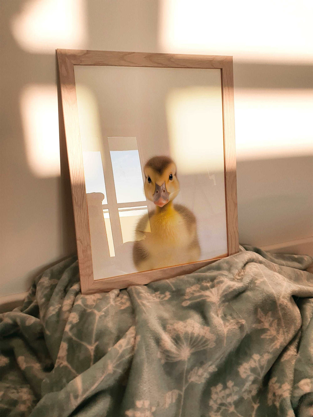 Baby Duckling