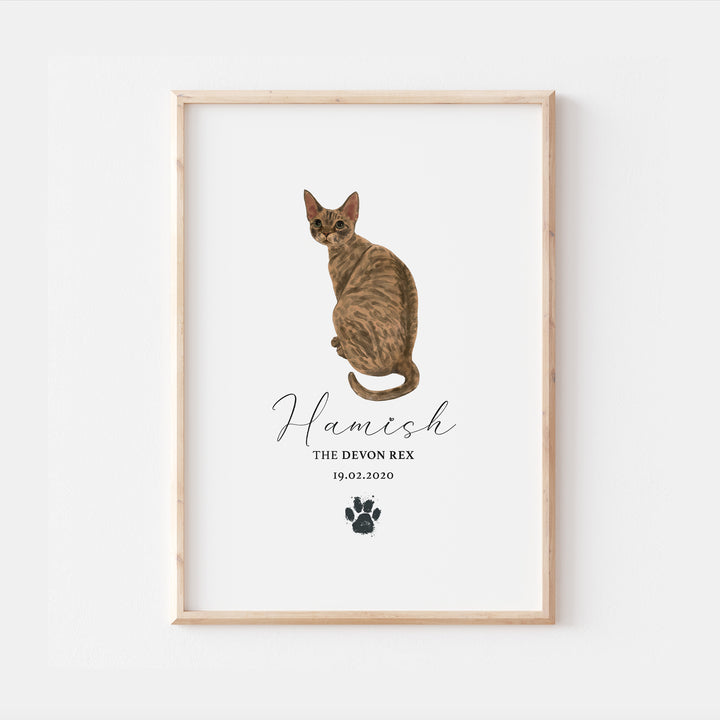 Personalised Tortie Devon Rex Cat Breed Watercolour Print