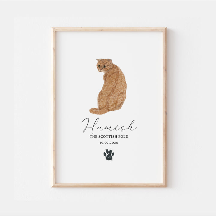 Personalised Red Scottish Fold Cat Breed Watercolour Print