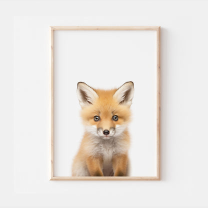 Baby Fox