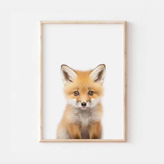 Baby Fox