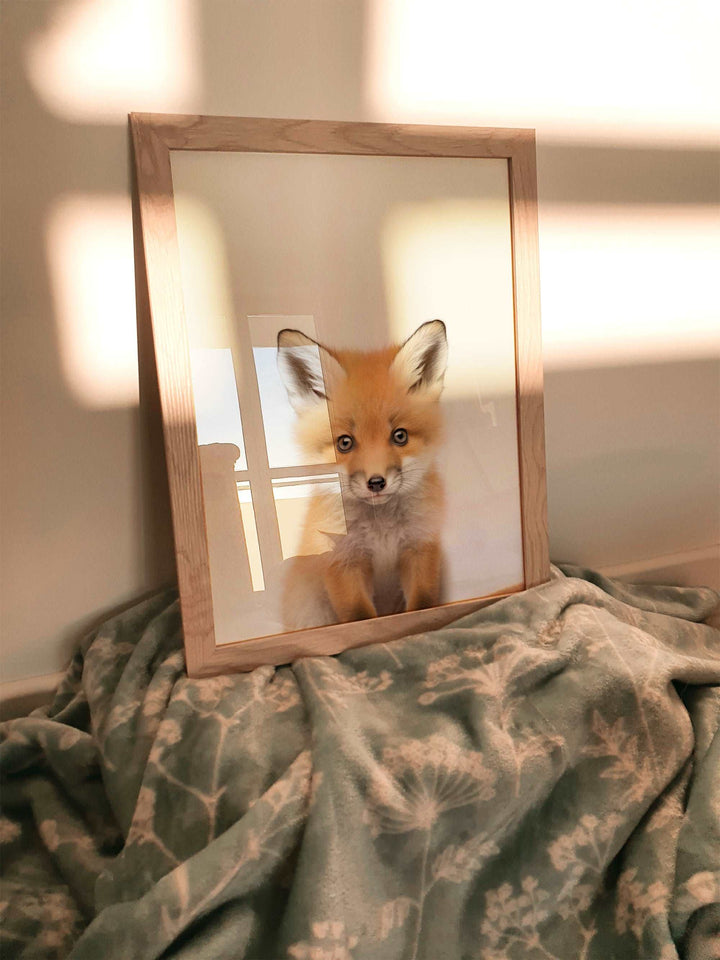 Baby Fox