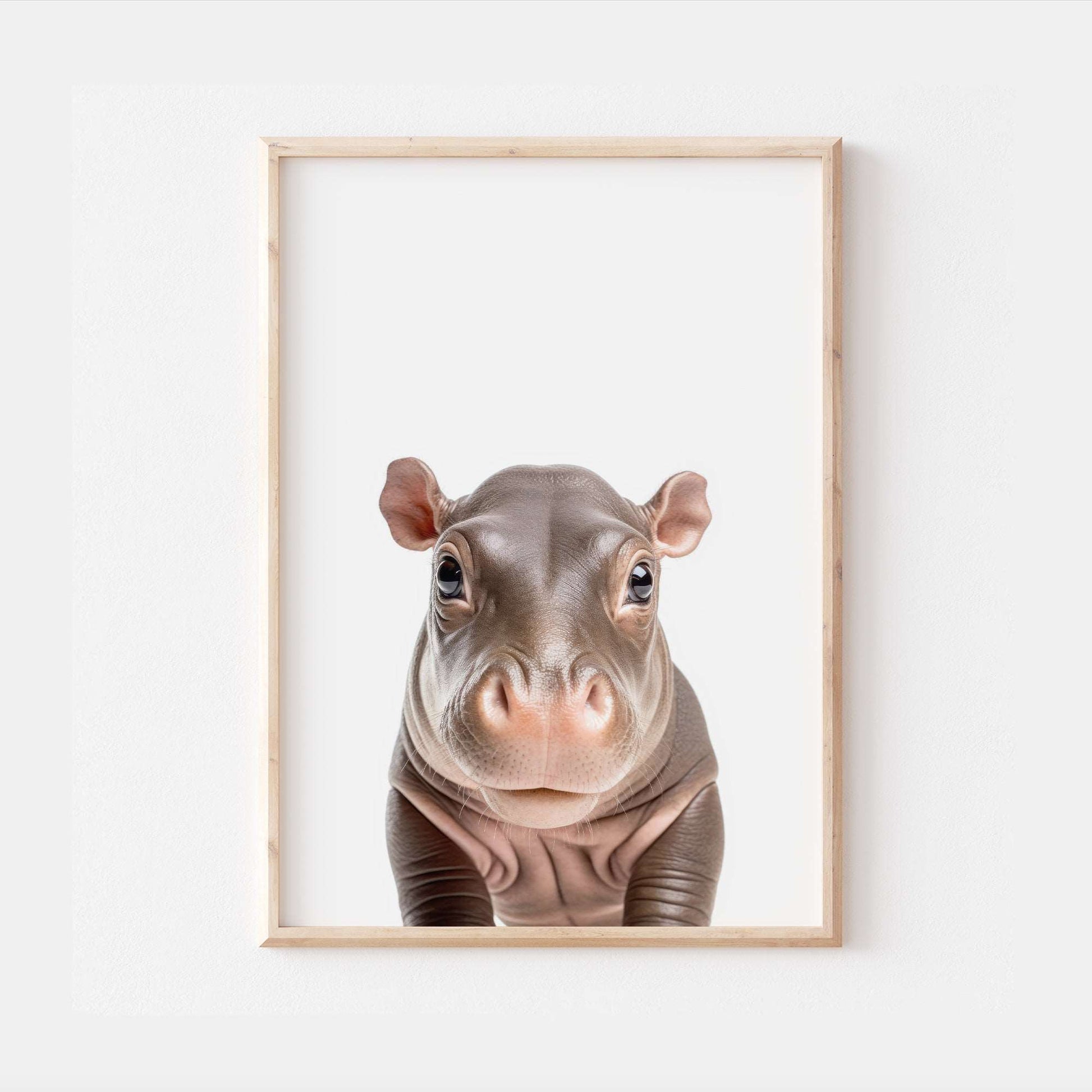Baby Hippo