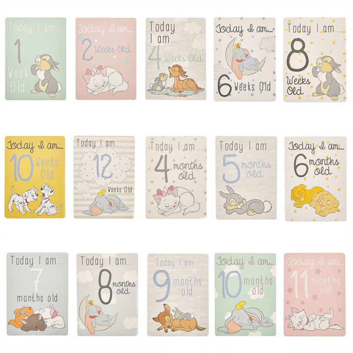 Disney Classics Birth Milestone Cards | Personalised Newborn Print Dumbo Lion King Disney Bedroom Nursery Decor Baby Gift Mothers Day Pixar