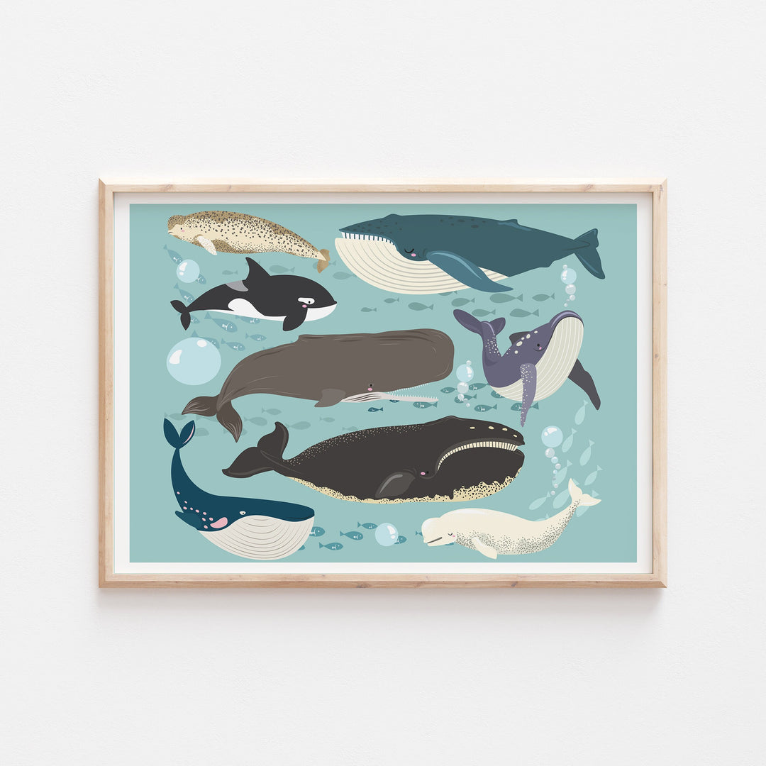 Under the Sea Ocean Whale Orca Beluga Marine Water Creatures Animals Kids Nursery Print Baby Bedroom Decor Posters Quote Shark Aqua Theme