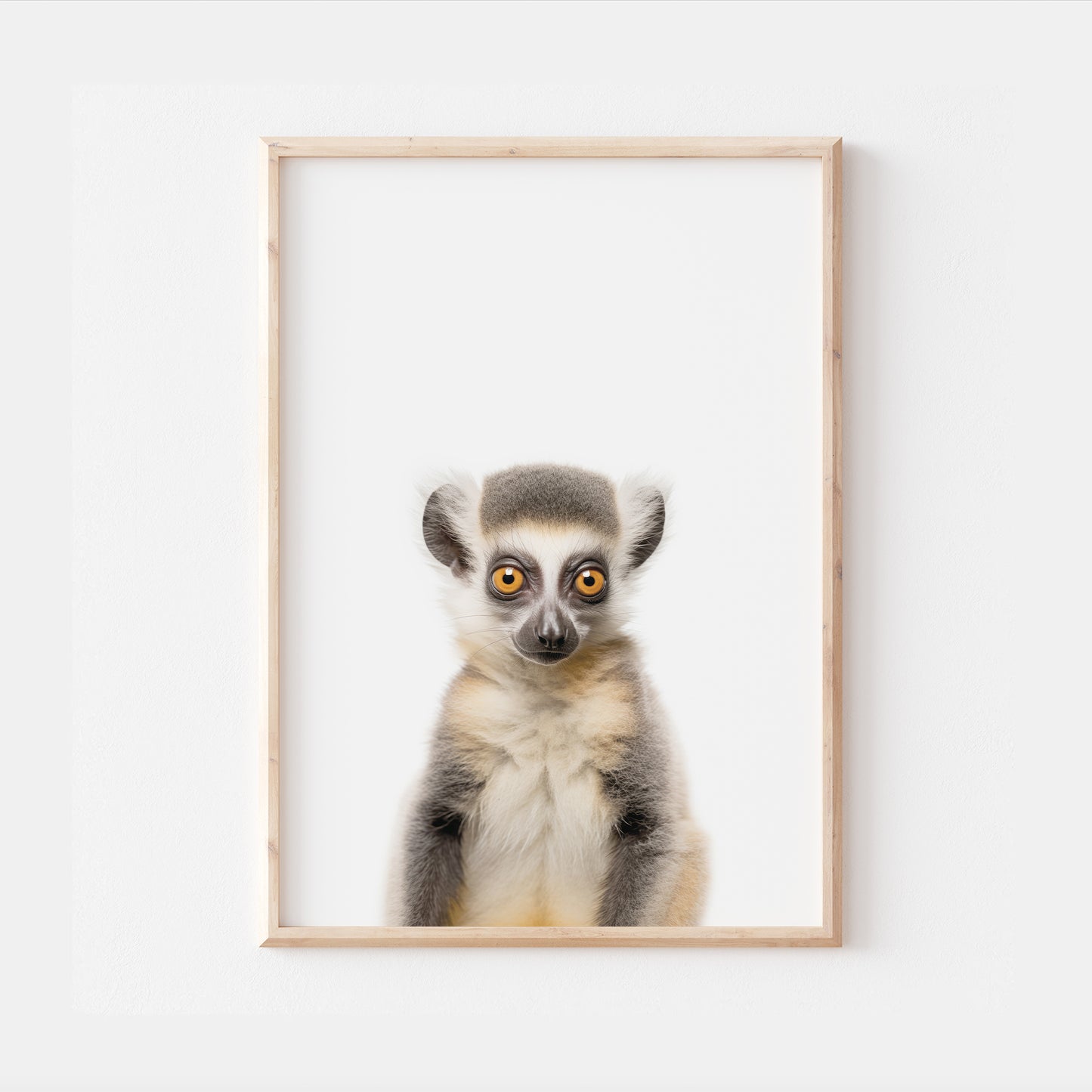 Baby Lemur