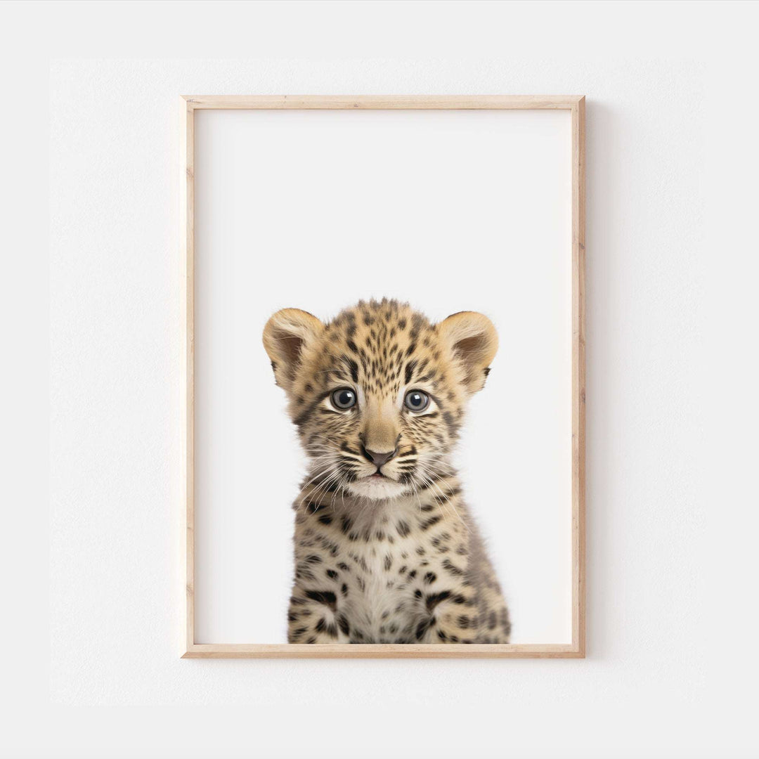 Baby Leopard