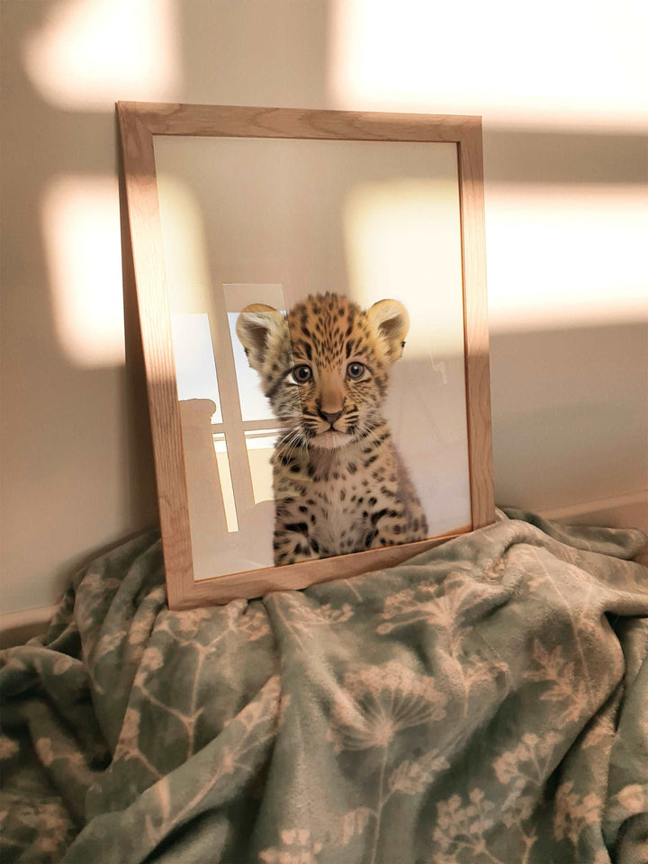 Baby Leopard