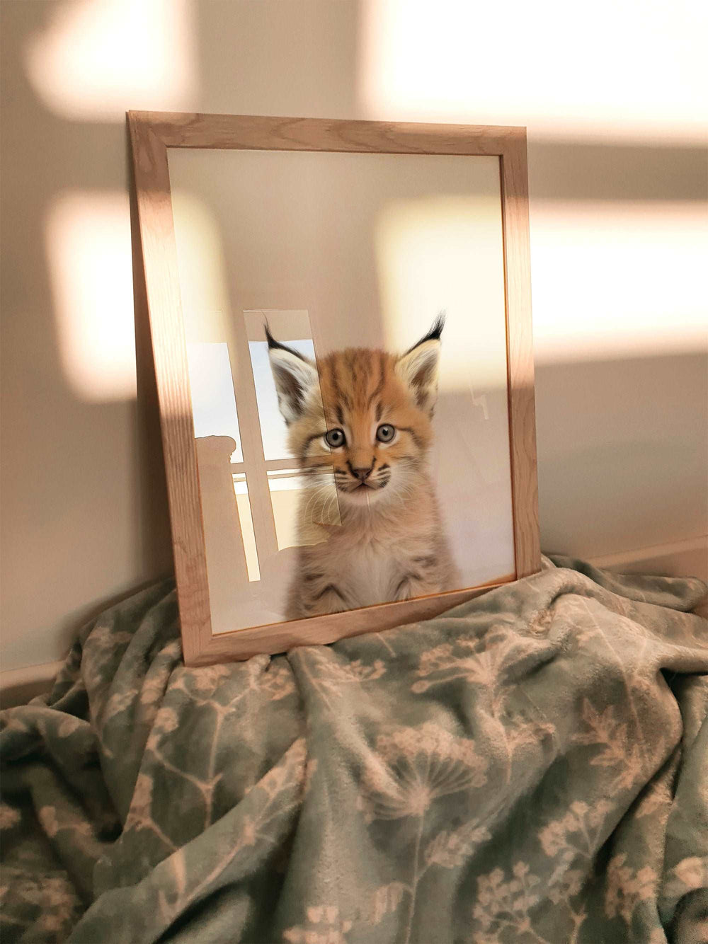 Baby Lynx