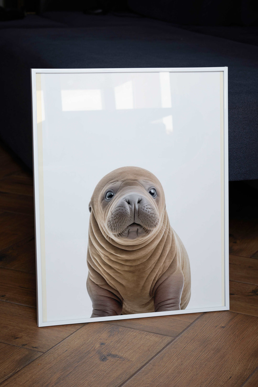 Baby Walrus