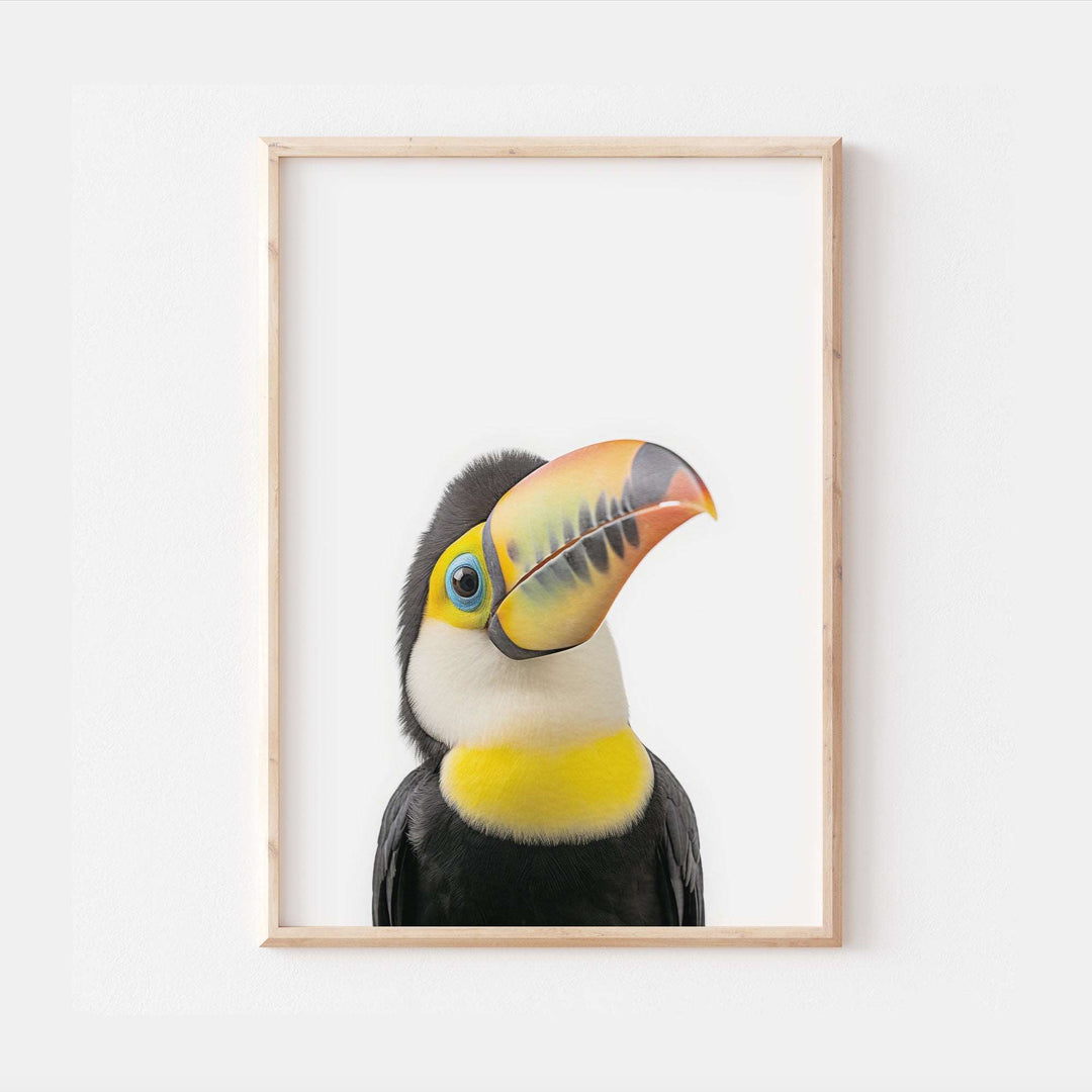 Baby Toucan