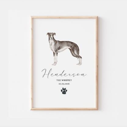 Personalised Whippet Dog Watercolour Print