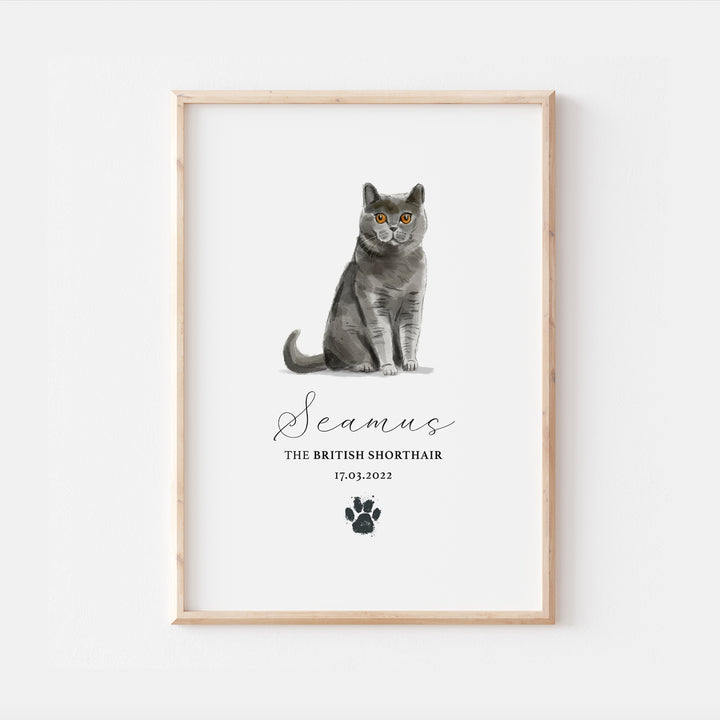 Personalised British Shorthair Cat Breed Watercolour Print