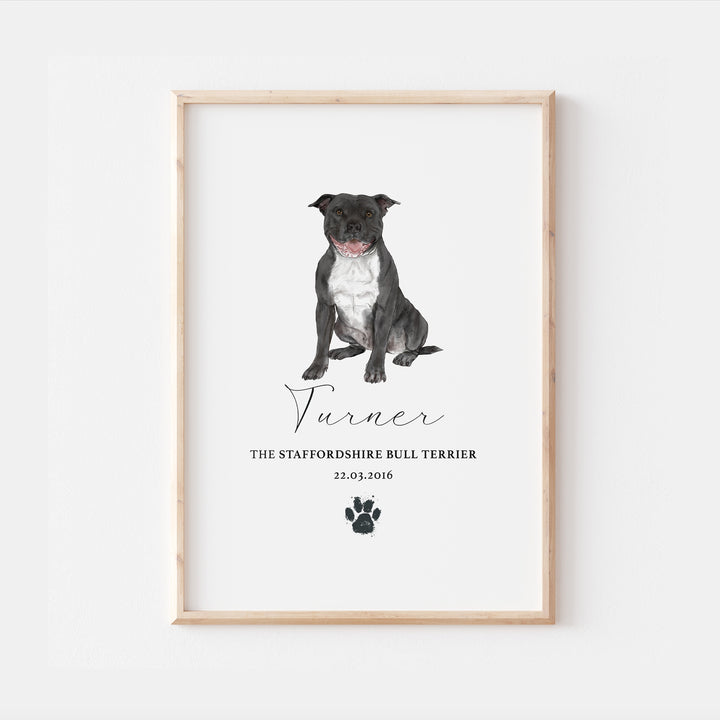 Personalised Black & White Staffordshire Bull Terrier Dog Watercolour Print